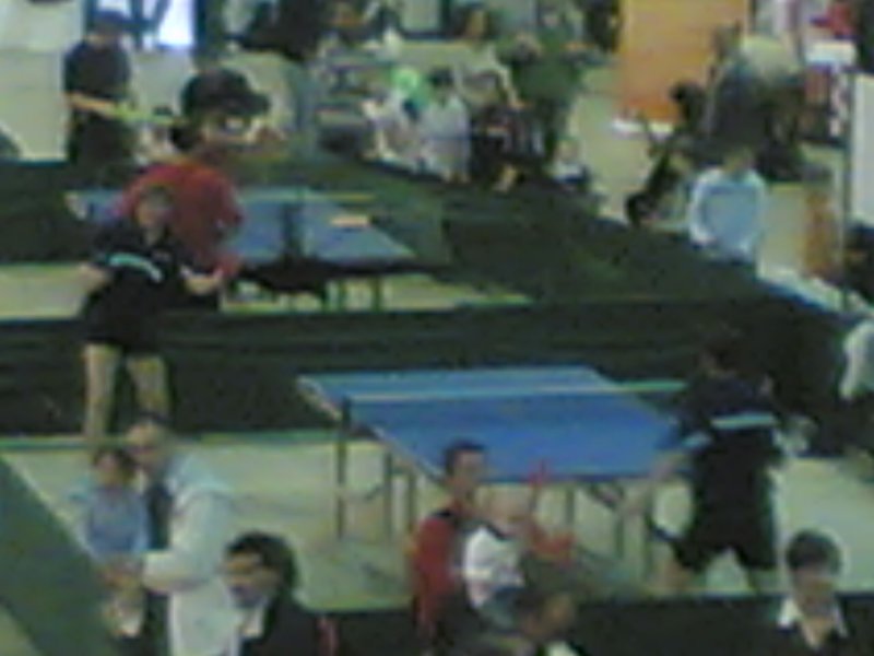 fiera170508_003.jpg